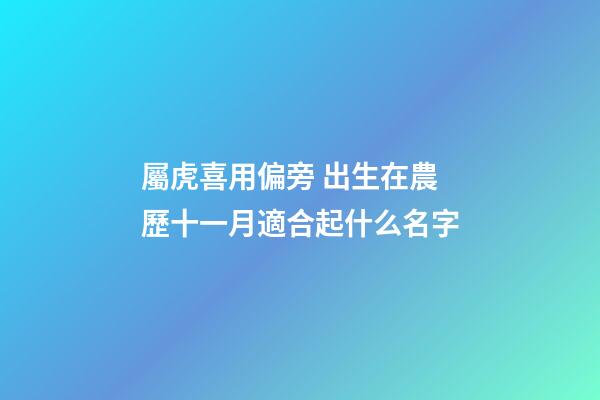 屬虎喜用偏旁 出生在農歷十一月適合起什么名字